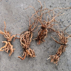 AU STOCK 1Bundle Random Size Driftwood Trunk Root Aquarium Fish Tank Landscaping - Picture 1 of 11
