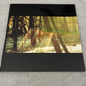 Childish Gambino CAMP (2022) Debut Album 180g GLASSNOTE Vinyl Record 2 LP - Foto 1 di 8