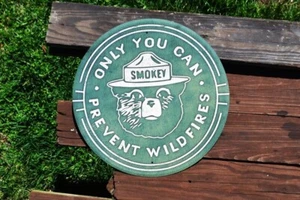 Smokey the Bear Aluminum Sign - Only YOU Can Prevent Wildfires - Forest - Tin - Picture 1 of 4