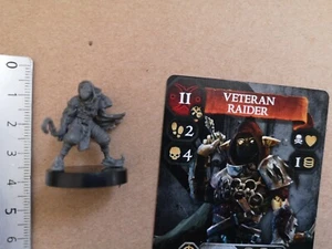 VETERAN RAIDER MINIATURE+CARD/ BARDSUNG STEAMFORGED M534 - Imagen 1 de 1