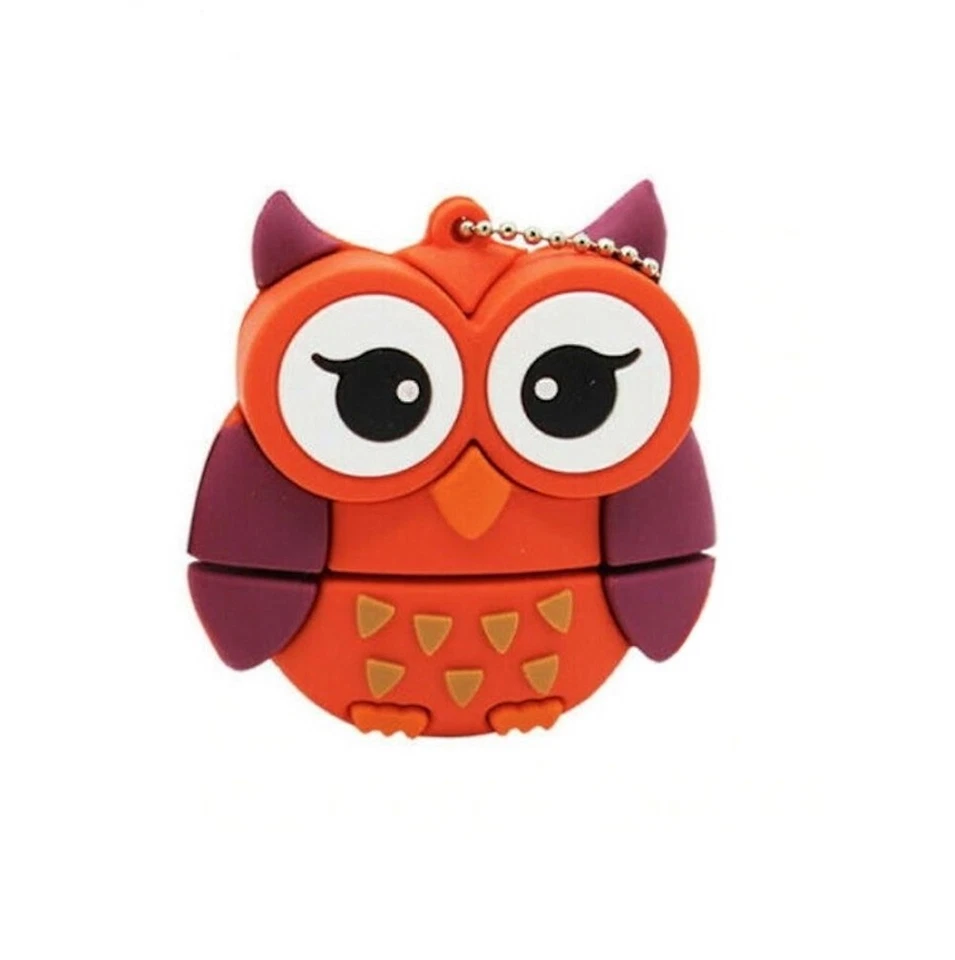 Clé USB 2.0 Flash Drive 30 Go 30Go Hiboux - Photo 1/4