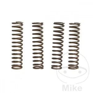 TRW Set 4 Federn Kupplung Für SUZUKI VN Z750 Z800 ZXR Für SUZUKI Lt-F 160 - Imagen 1 de 1
