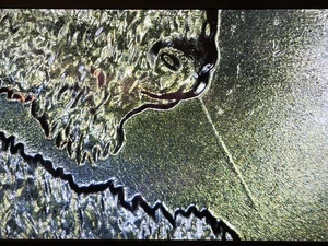 Beautiful Uncirculated 2005 Kansas Quarter🔥Rare Spitting Bison Error! - Picture 1 of 3