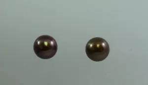 Freshwater Button Shape Pearl Earring 14k White Gold Post and Push Back - Picture 1 of 3