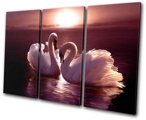Obra de arte en lienzo impresión de imagen foto de pared cisnes animales lago naturaleza amor romance - Imagen 1 de 1
