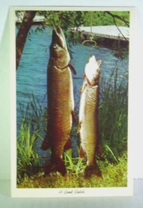 Fishing A Good Catch Fishing 2 nice size fish - Chrome Postcard - Picture 1 of 2