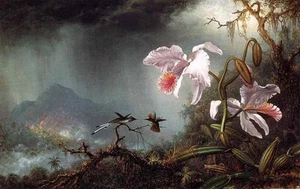 Oil Martin Johnson Heade - Two Fighting Hummingbirds with Two Orchids & storm !@ - Picture 1 of 1