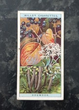 Wills Flowering trees and shrubs