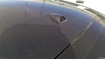 Antena ALTIMA 2017 1037164181 Foto 1 de 4