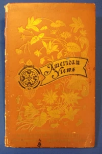 Ca. 1885 Book of Engraved AMERICAN VIEWS, 14 Leaves bound Accordian Style. VG. - Imagen 1 de 10