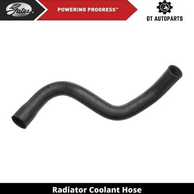 Para 1999-2006 Workhorse Chasis Personalizado P32 Radiador Refrigerante Manguera Puertas Inferiores Foto 1 de 4