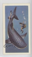 1974 Brooke Bond The Sea: Our Other World Tea Whale Shark #14 a8x