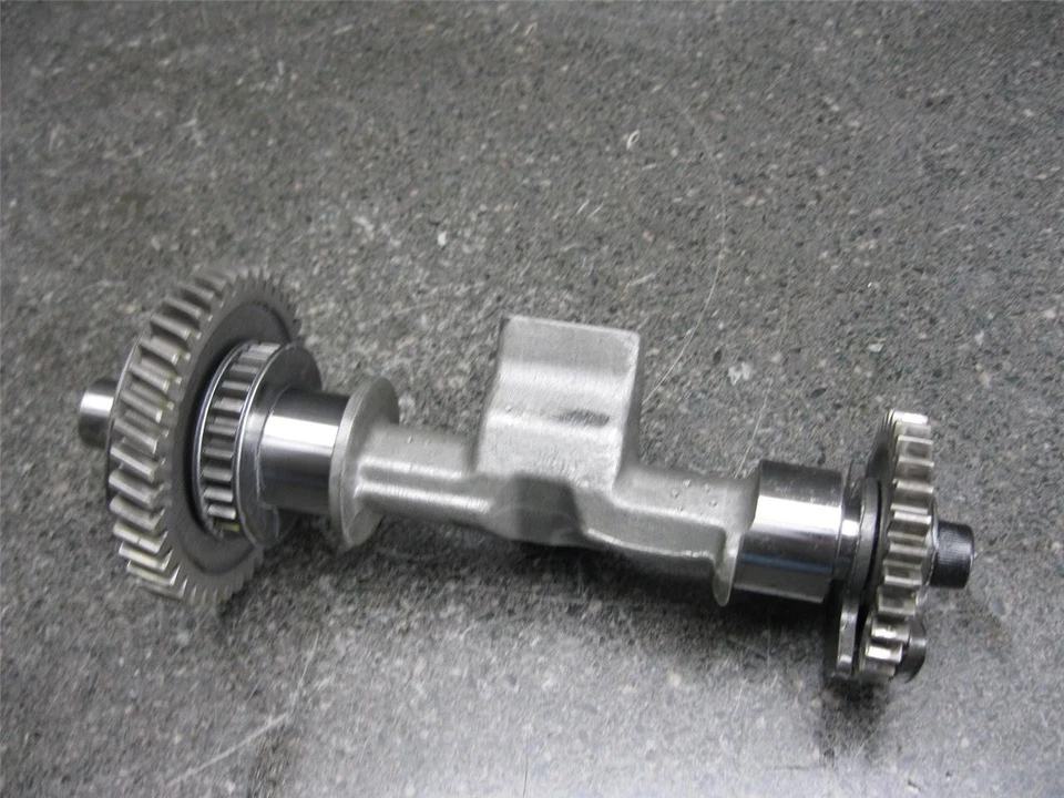 09 Aprilia RSV1000R RSV 1000 R contraequilibrio eje 38B Foto 1 de 1