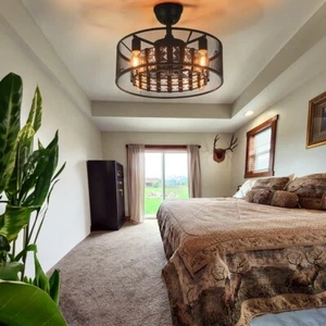 20" Ceiling Fan Light Remote Control Chandelier Light Modern Living Room - Picture 1 of 12
