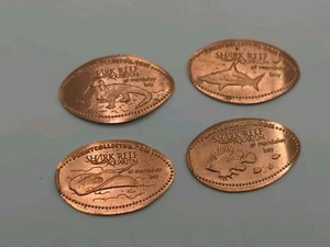 Juego de 4 centavos de cobre prensados alargados Shark Reef Mandalay Bay #2 LAS VEGAS NV - Imagen 1 de 2