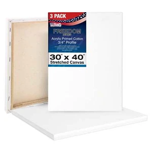 3 Pack of US Art Supply 30" x 40" Acrylic Primed Cotton Duck Stretched Canvas - Picture 1 of 5