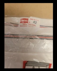 Hanes VTG Vintage Men's NOS Briefs Tighty Whities Underwear Red Stripe Line  42  - Picture 1 of 3