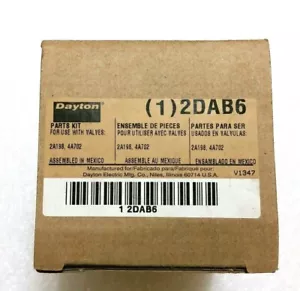 Dayton Kit Ricostruzione Ricambi Valvola, Kit Ricostruzione Valvole 066050, GRAINGER Parte 2DAB6 - Foto 1 di 8
