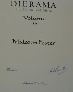 Hilliard, I M ; Burtt, B L  .. Dierama - The Hairbells of Africa - Bild 1 von 2