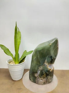 Rare green crystalized petrified wood polish natural home decoration 3700gr 301 - Picture 1 of 8