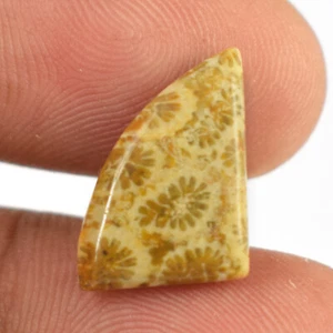 5.05 Cts Natural Fossil Coral Free-Form Cabochon Gemstone Pendant Ring VG156 - Picture 1 of 3
