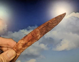 Hybodus Hai Rückenflosse Wirbelsäule Fossil. 160mm x 25mm. Wie auf Fotos zu sehen - Bild 1 von 9