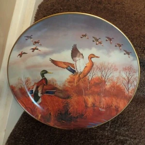 JOINING UP by artist David MAASS Mallard Ducks Porcelain LTD Collectors Plate - Picture 1 of 3