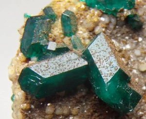 DIOPTASE bellissimi cristalli!!! Repubblica del Congo Dipartimento Piscina SANDA /pl540 - Foto 1 di 19