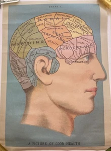 Vintage Phrenology Poster “A Picture Of Good Health “ Italian Paper 2008 - Afbeelding 1 van 11