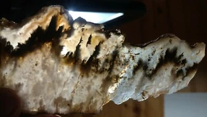 Friedhof Plume Achatplatte 97,7 gr Idaho, fantastische Muster, Exemplar, Cabbing - Bild 1 von 4