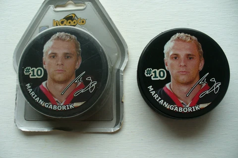 MARIAN GABORIK* MINNESOTA WILD  2002 Cover