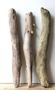 Treibholz Schwemmholz Driftwood 3 XL Hölzer Terrarium Dekoration 57-59 cm  *E93* - Bild 1 von 13