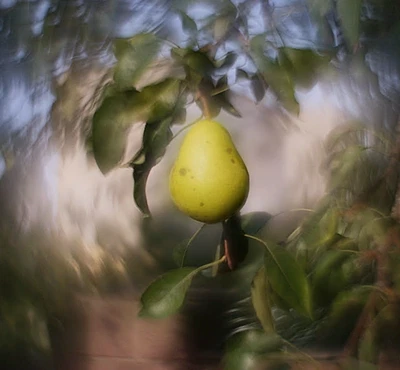 Helios 44-2 Lens Petzval Modification Dreamy Swirly Bokeh Angel Wing mount M42 - Image 1 of 4