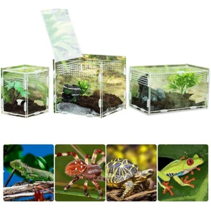 Acrylic Reptile Breeding Box Feeding Cage Spider Insect Terrarium Lizard Habitat - Picture 1 of 17