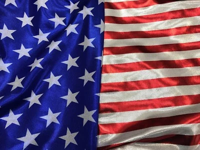 Stars & Stripes Design Metallic Nylon Spandex 4way Stretch 58/60” Sold By The YD - Image 1 of 2