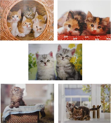 5er Set Klappkarten Katze mit Umschlag 16 x 12 cm Doppelkarte Postkarte GPK 1000 - Bild 1 von 4