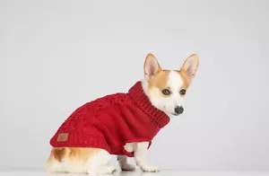 Suéter tejido con cable rojo para perro de abeja y sauce hogar - Imagen 1 de 1
