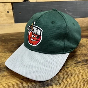 Baseballmütze Baseballkappe Fort Wayne TinCaps Minor League verstellbar - Bild 1 von 10