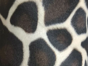 Luxury Giraffe Velboa Faux Animal Fur Fabric - Low-Pile 60" Wide - Polyester - Picture 1 of 1