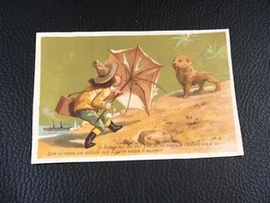 CHROME CARD IN ALGERIA LION CHILDREN ERA 1880 90 - Picture 1 of 2