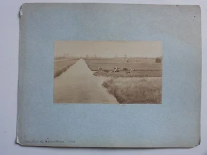 Original Foto 1884 - HOLLAND NEDERLAND HOLLAND - Les Moulins de Laandam - Bild 1 von 3