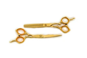 Profi Haarschneide Set Haarschere für Friseur Azubi Effilierschere für Hund  - Bild 1 von 5