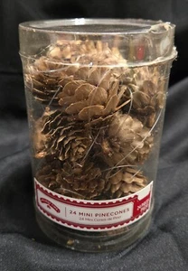 Holiday Time 24 Mini Pinecones Christmas Holiday Decorations Ornaments - Picture 1 of 5