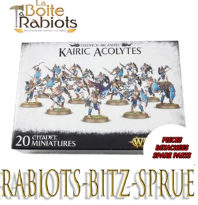 Warhammer Age of Sigmar Slave to darkness Kairic acolyte Vente au détails - Bild 1 von 38
