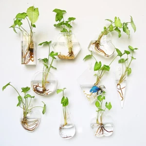 Fashion Wall Hanging Glass Flower Vase Terrarium Wall Fish Tank Aquarium Contain - Picture 1 of 38