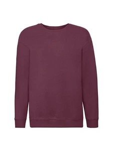 Sudadera Fruit Of The Loom 62031 Niños Premium Hombro Caído - Imagen 1 de 22