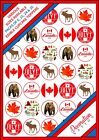 35 x Canada Day Mix Edible Wafer Cupcake Cake Toppers 6 15 24 Bear Moose Maple