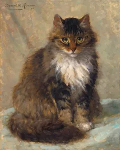 Quadro gatto MAINE COON Henriette Ronner-Knip riproduzione tela stampa arte - Foto 1 di 1