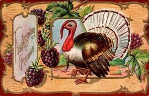 POSTCARD THANKSGIVING TURKEY GOBBLER & GRAPES EMBOSSED - 1912 - Picture 1 of 2