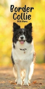 Border Collies 2026 Slim Diary Official - Bild 1 von 1